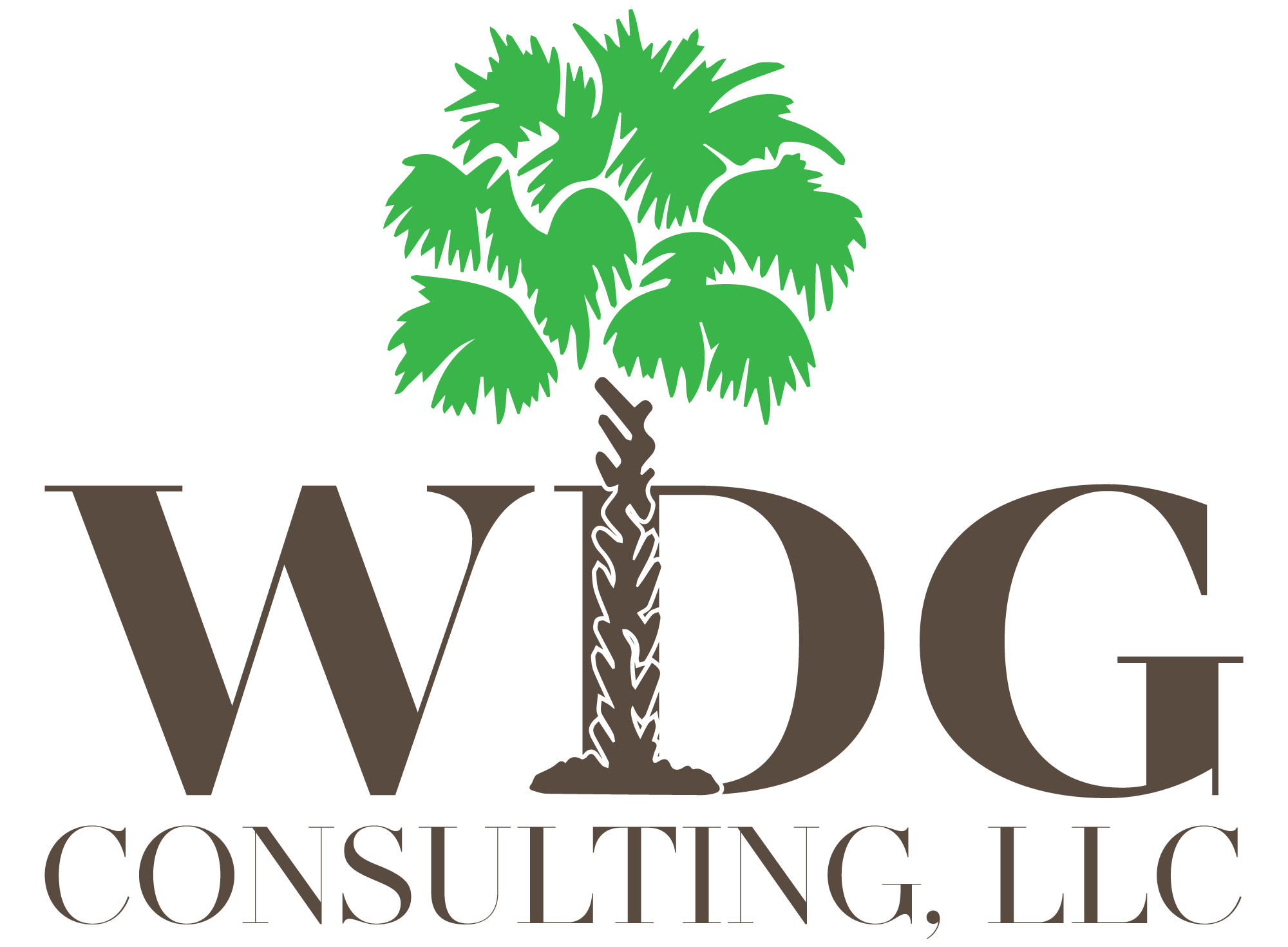 WDG Consulting LLC palmetto logo